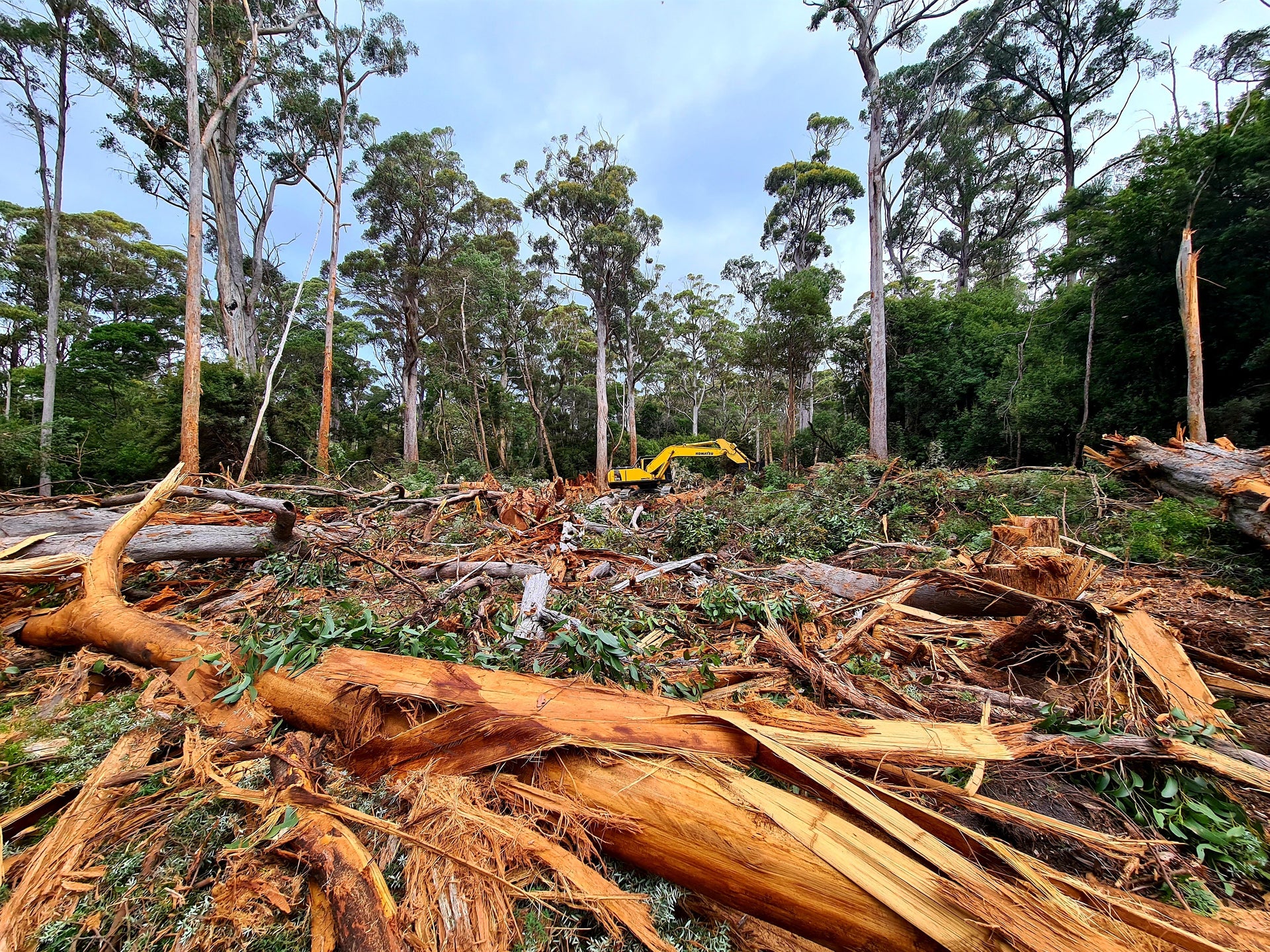 Showdown on the Krushka’s Trail