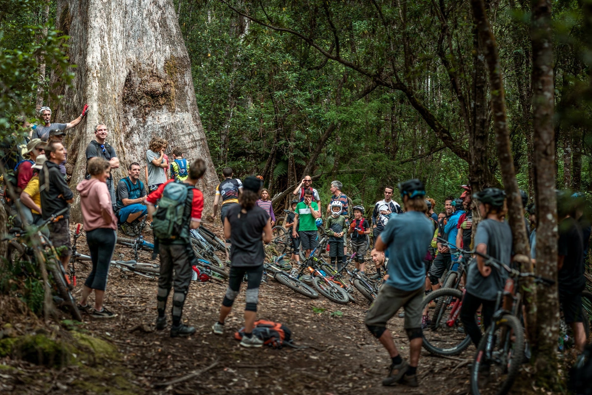 Protecting the 'Jewel of Tassie's MTB industry'