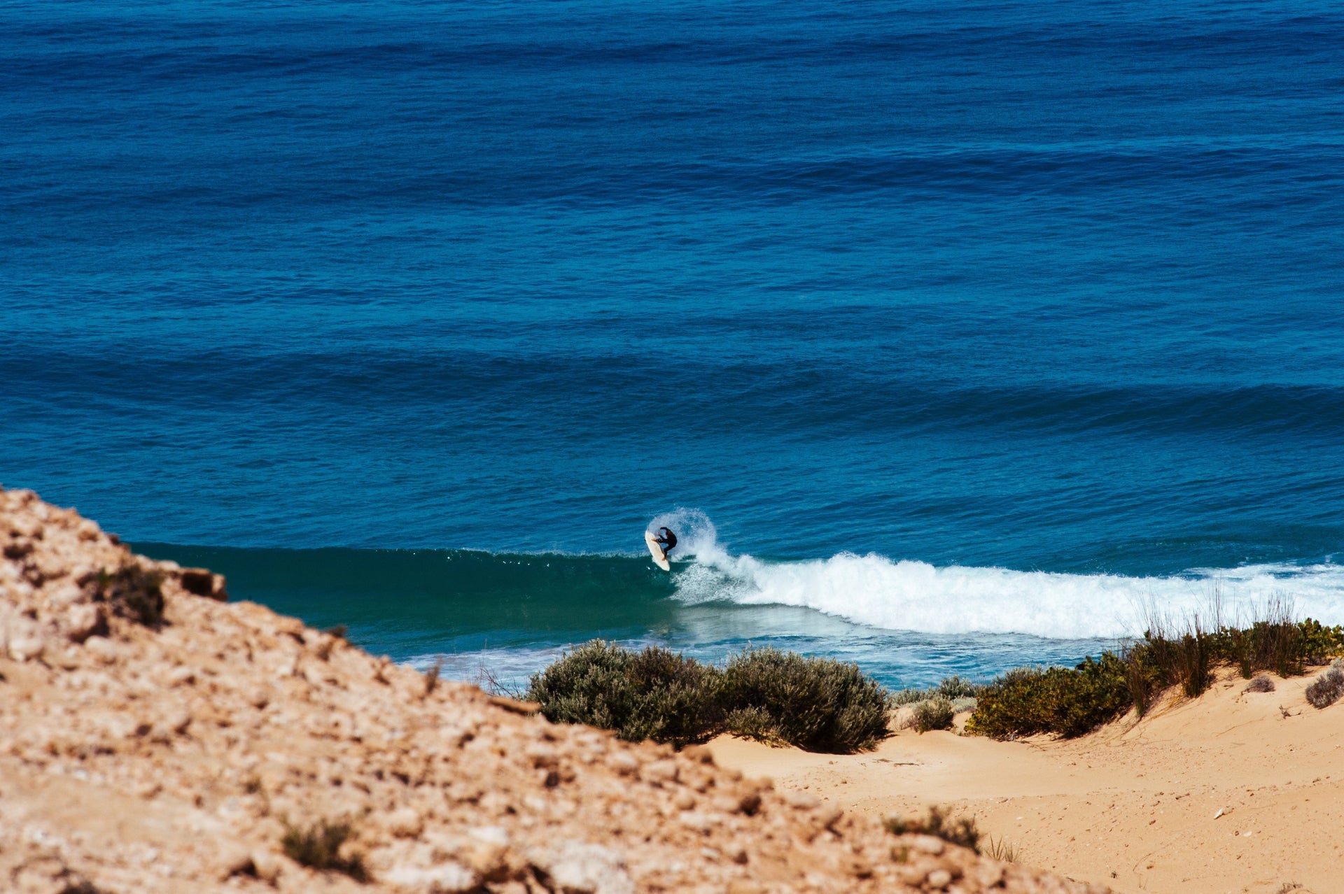 Another Domino Falls in the Bight