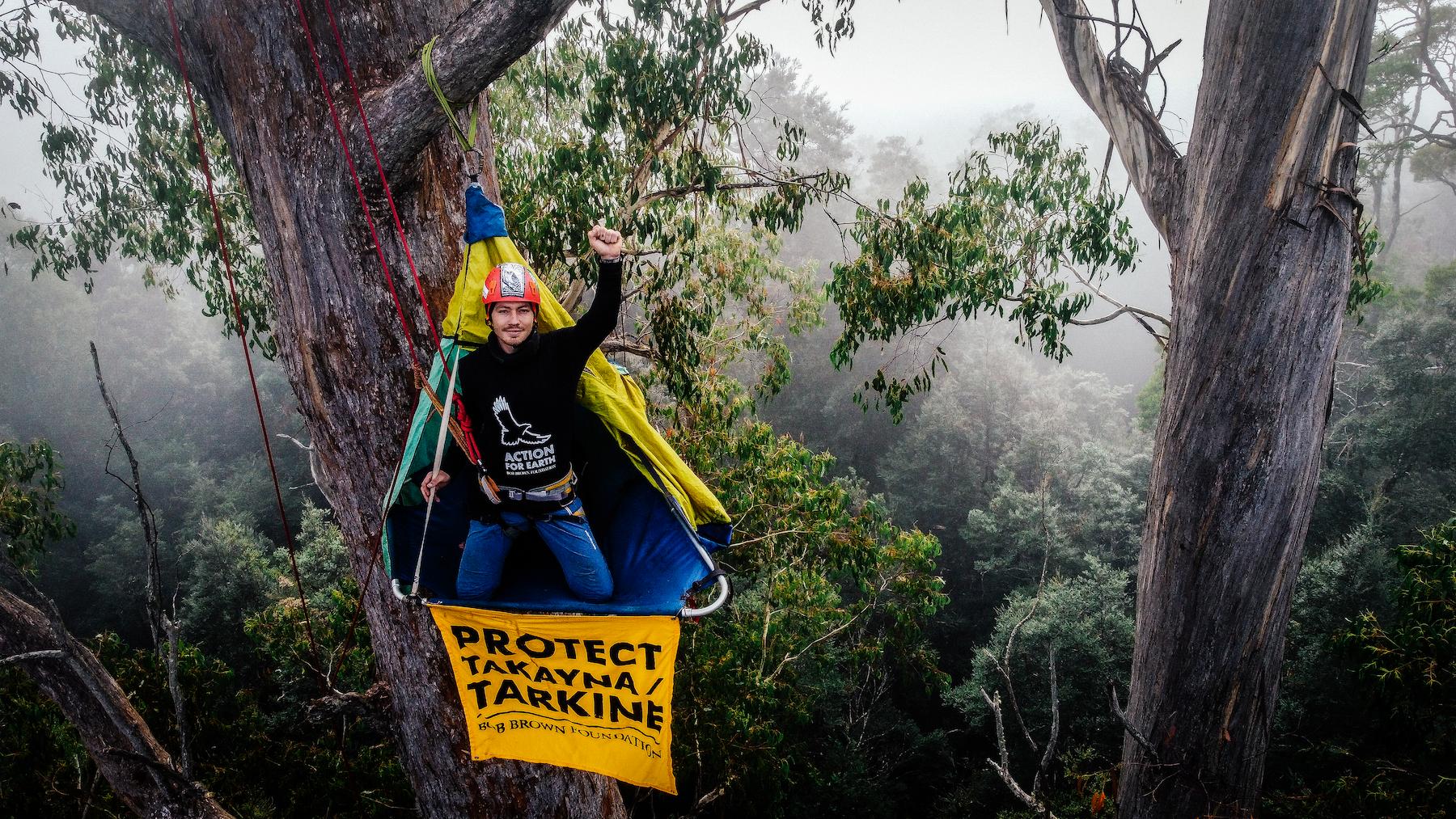 Could This Be the Tipping Point for takayna?