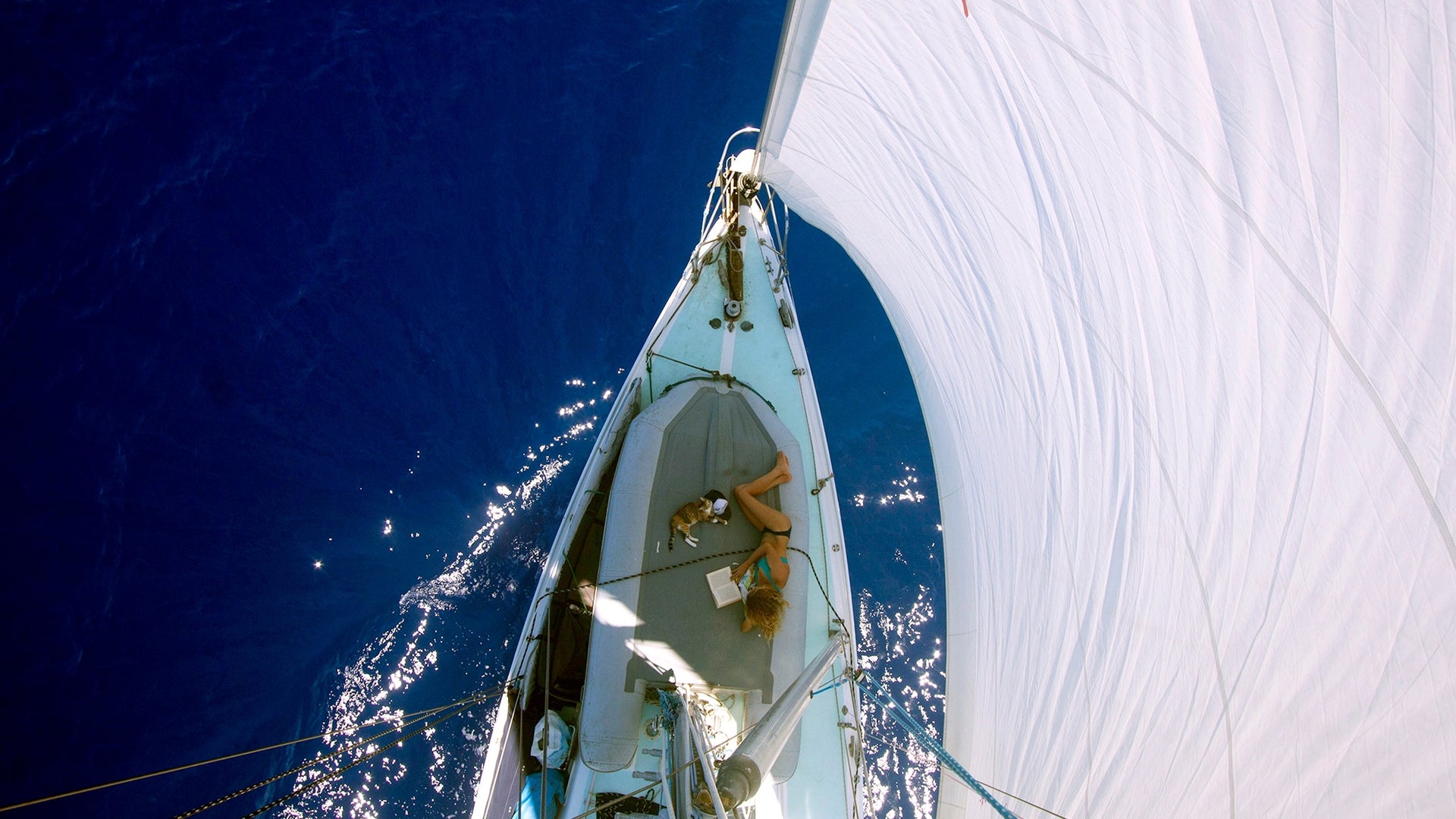 Isolation for two. Captain Liz and Tropicat’s afternoon sway on Swell. Liz Clark