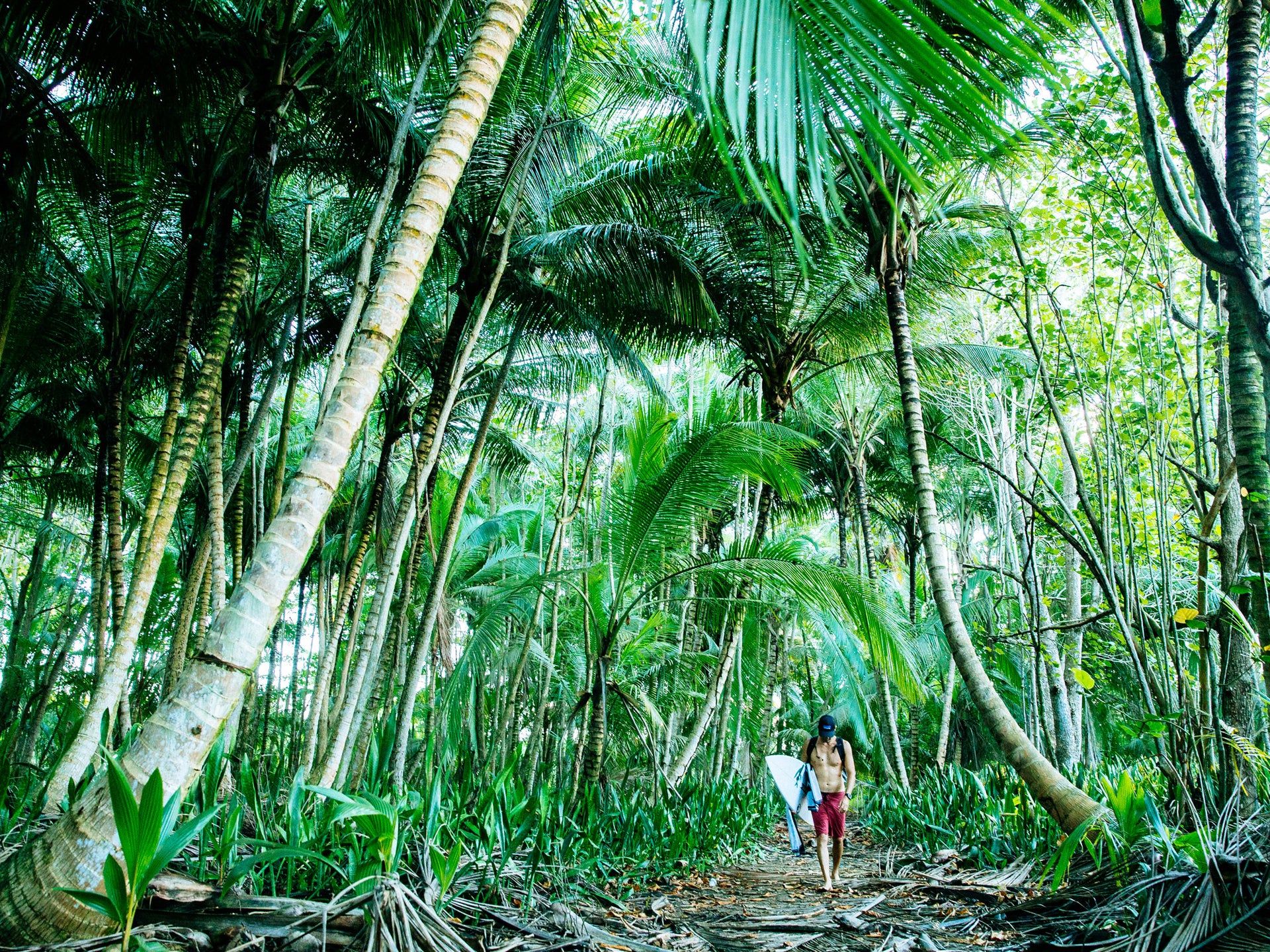Patagonia Surf Ambassador Otto Flores walks through a palm forest post-surf on Puerto Rico’s north coast. Photo: Jeremy Koreski