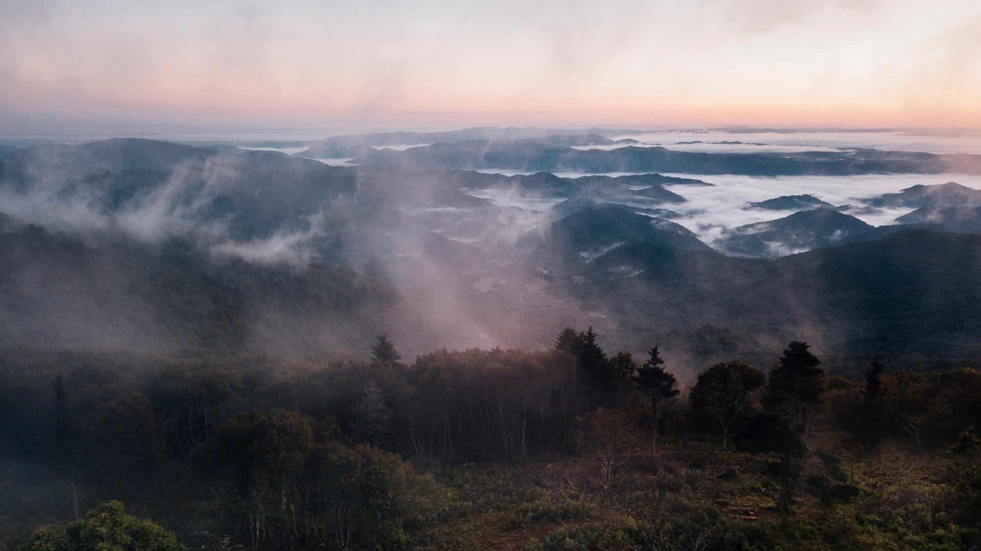 Everyone’s Wildness