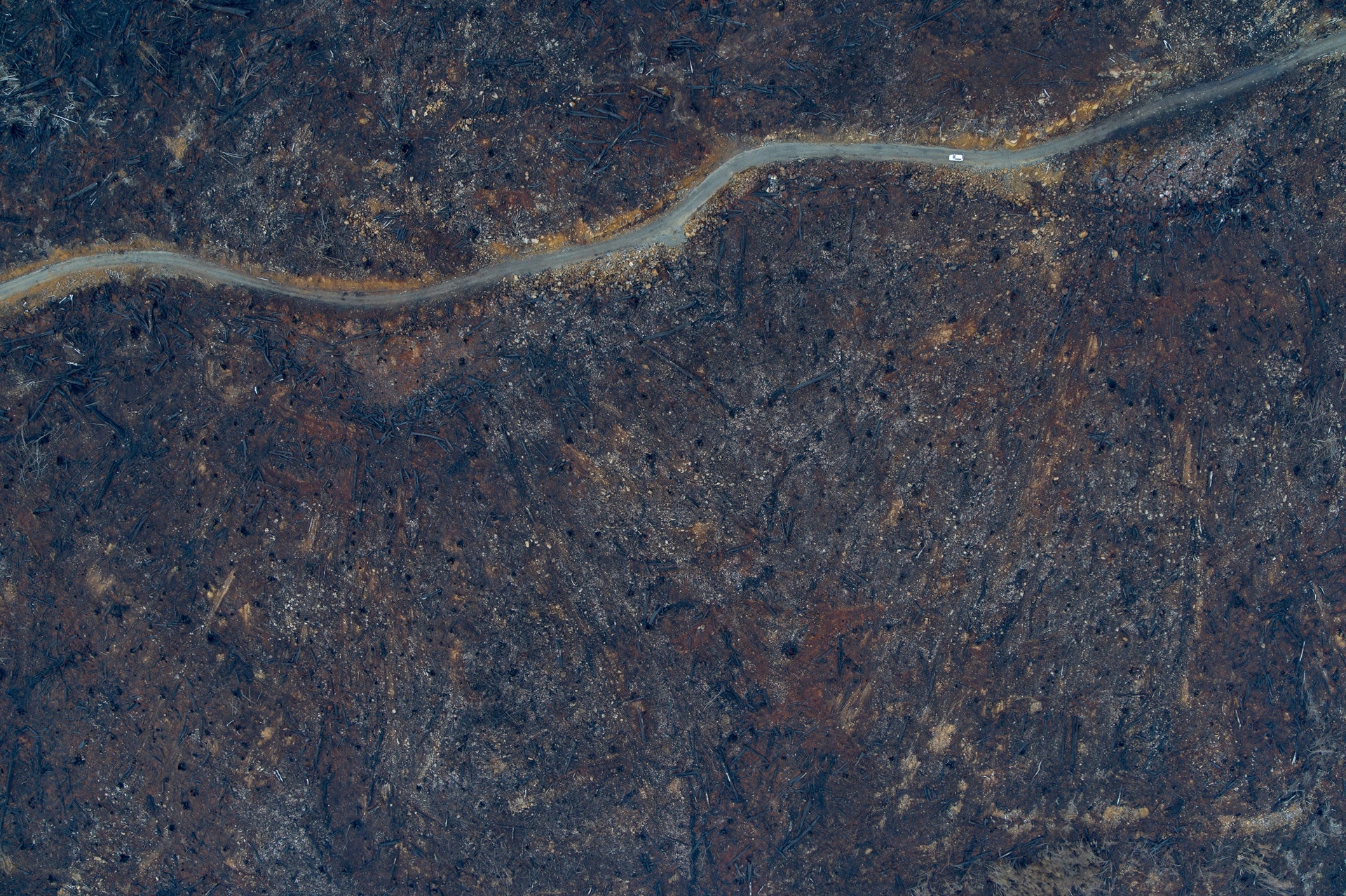 The hands-off approach to forest management by the Commonwealth government has left a trail of destruction and is pushing species into extinction. O</em><em>nce<span> </span><span>southern Tasmanian forest</span>, now wastelands. Photo: Rob Blakers.