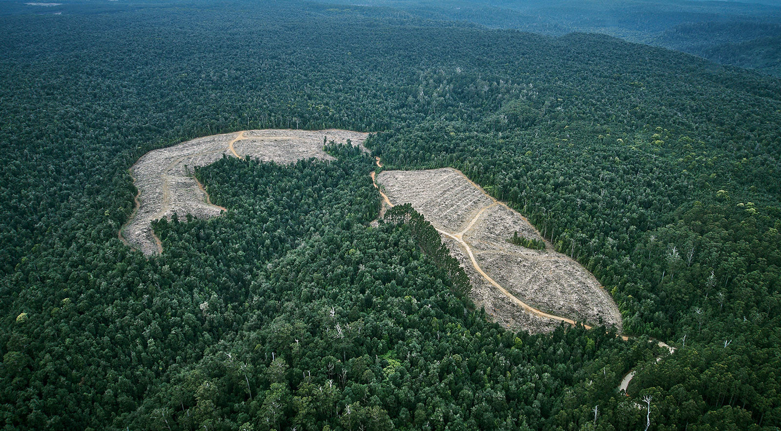 Dispatches from the Edge of the World