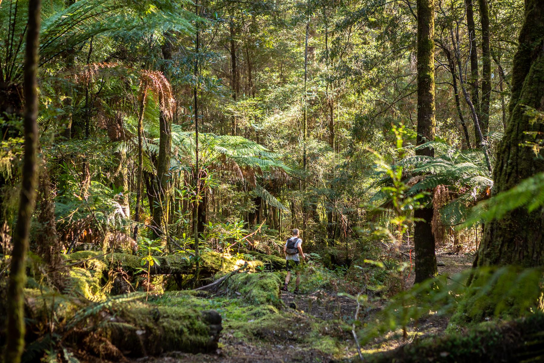 2021 takayna Trail. Photo: Kelly Slater.