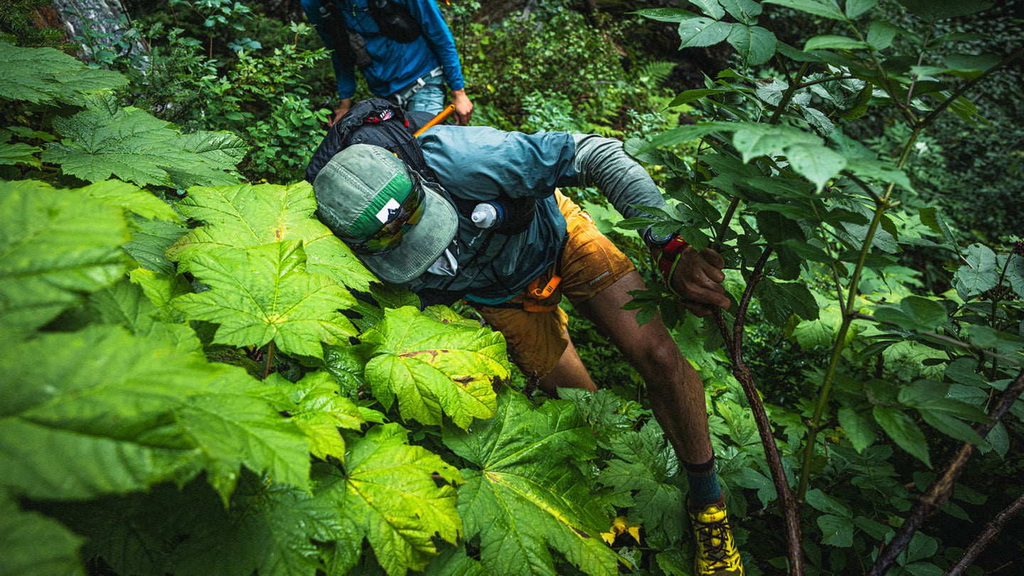 Tristan Kodors and Everett Craig get up close and personal with the Selkirks’ bountiful slide alder and devil’s club. British Columbia.