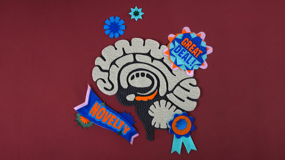 This is your brain while shopping. Well, an overly simplified version created from excess Patagonia fabric.