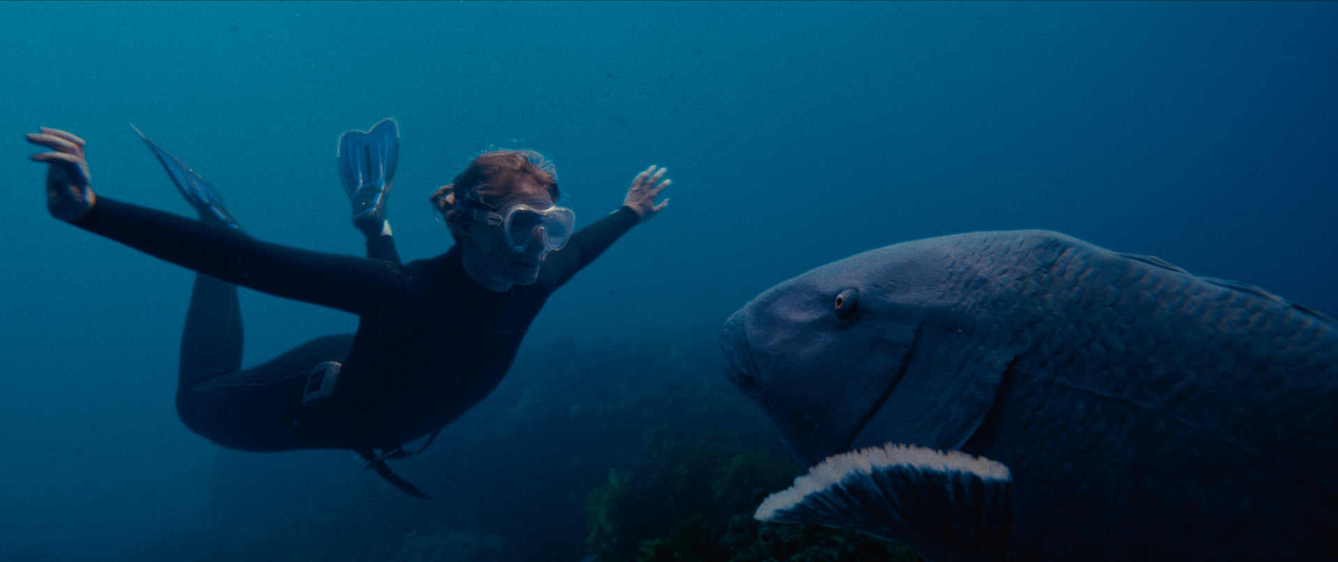 Opening image: Mia Wasikowska as Abby, finally reunited with her beloved Blueback after years abroad and a lifetime working for its protection.