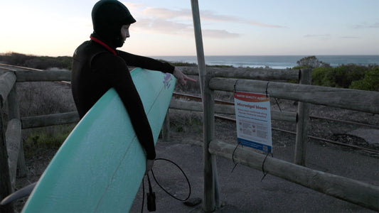 Opening image: The first signs of the algal bloom were seen along vast areas of the South Australian coastline in early March, with ocean temps 2.5˚C above average. Photo courtesy Surfers For Climate