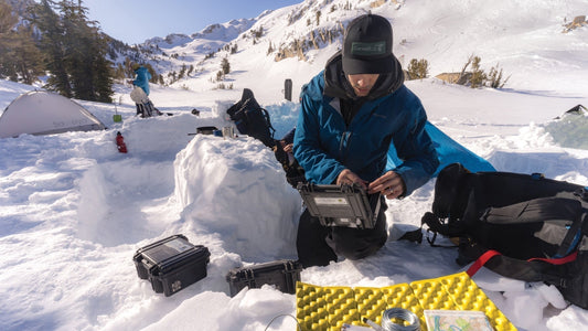 Though Connor Wood’s recording units are simple, they’re tough enough to survive a few bashings from curious bears.