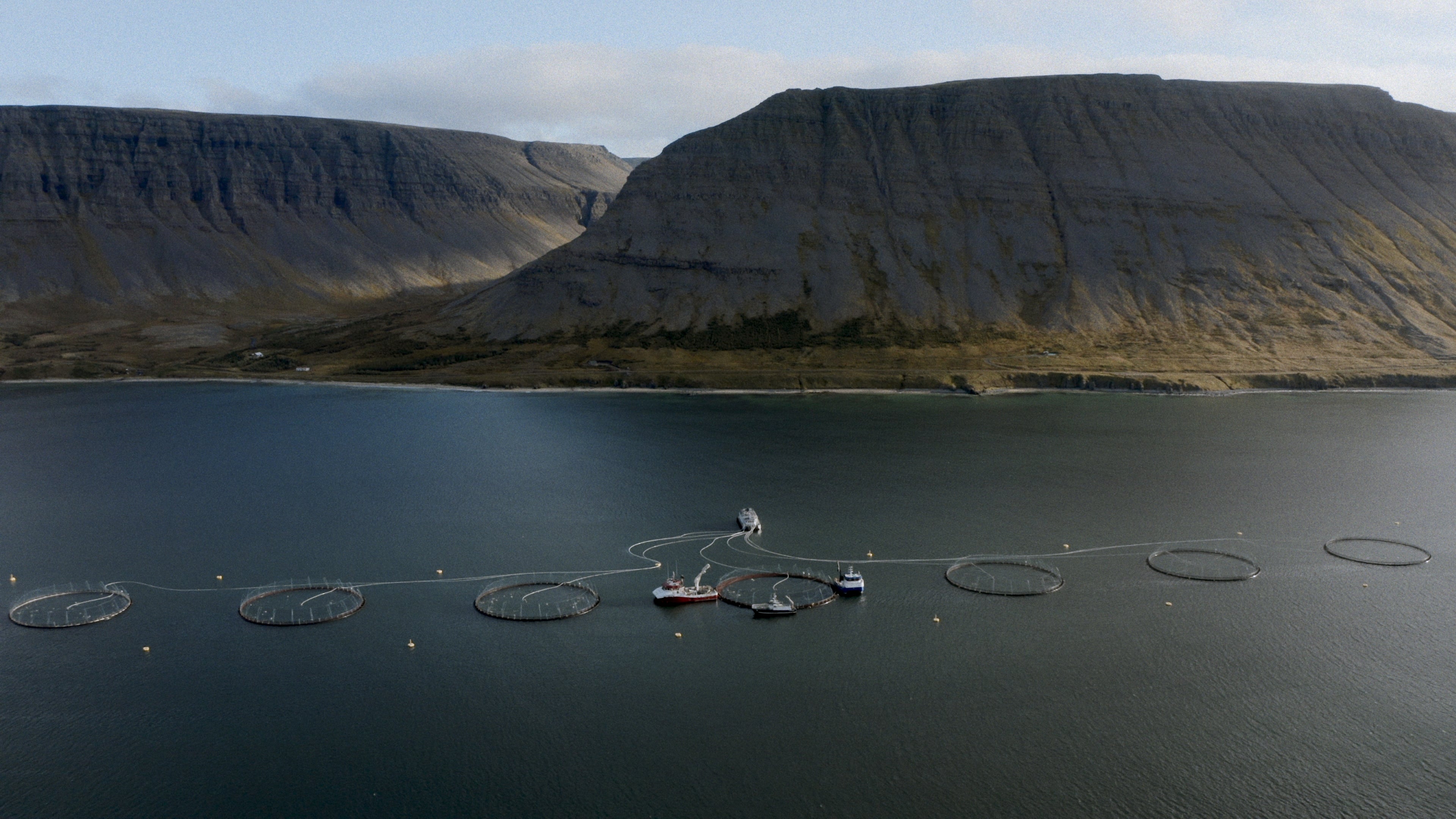 A Salmon Nation: The Power to Stand Up and Say No - Patagonia Australia