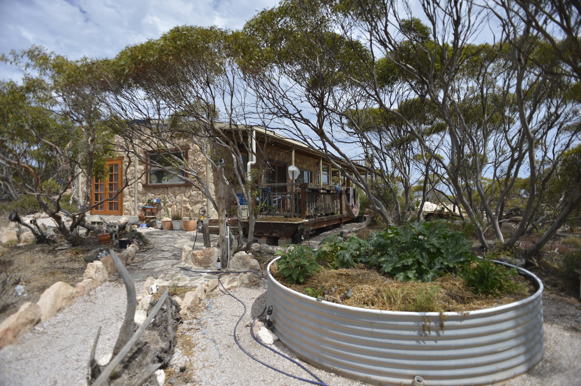 Makin' it on Your Own