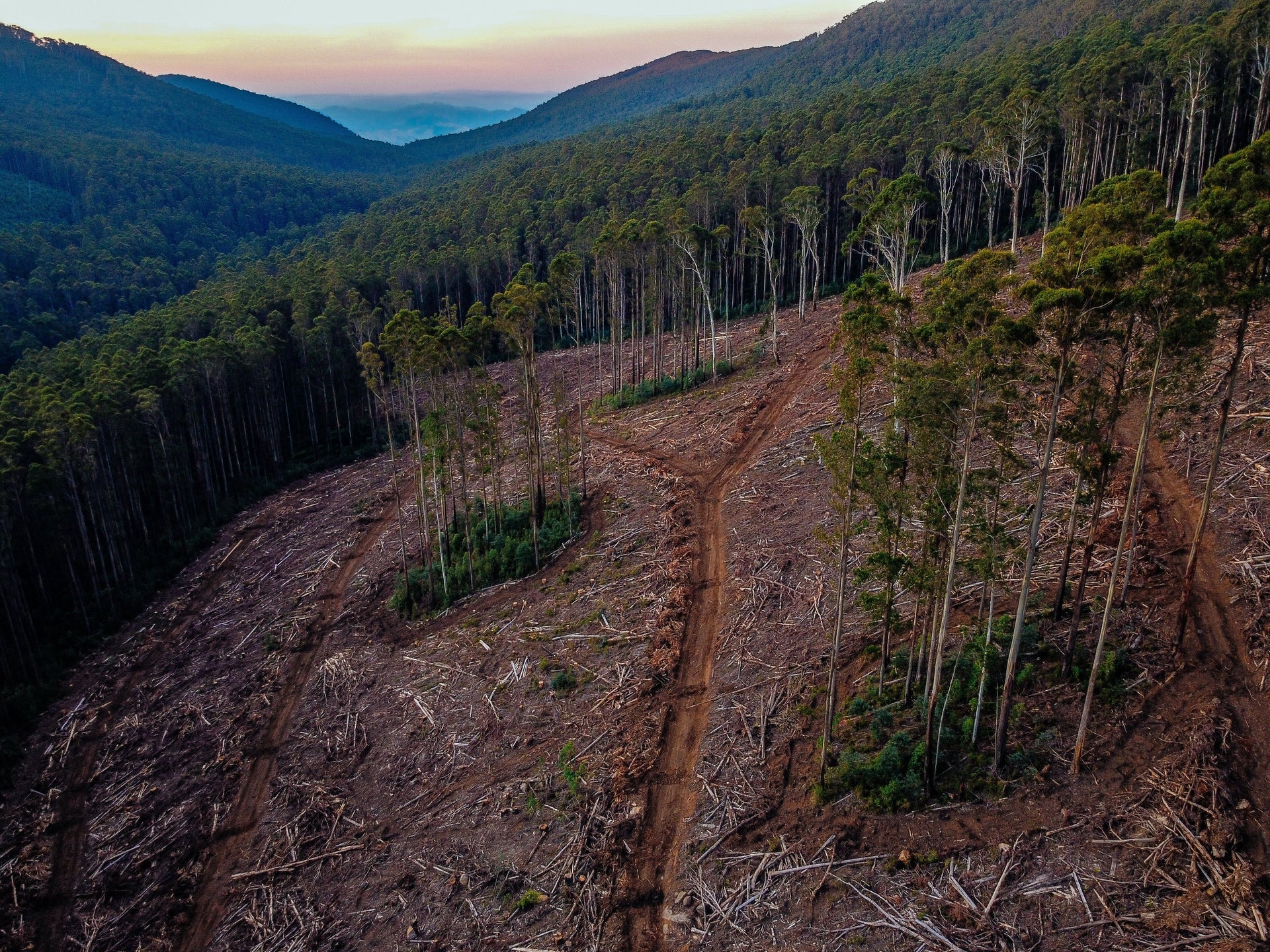 Changes to VIC Logging Code Loom