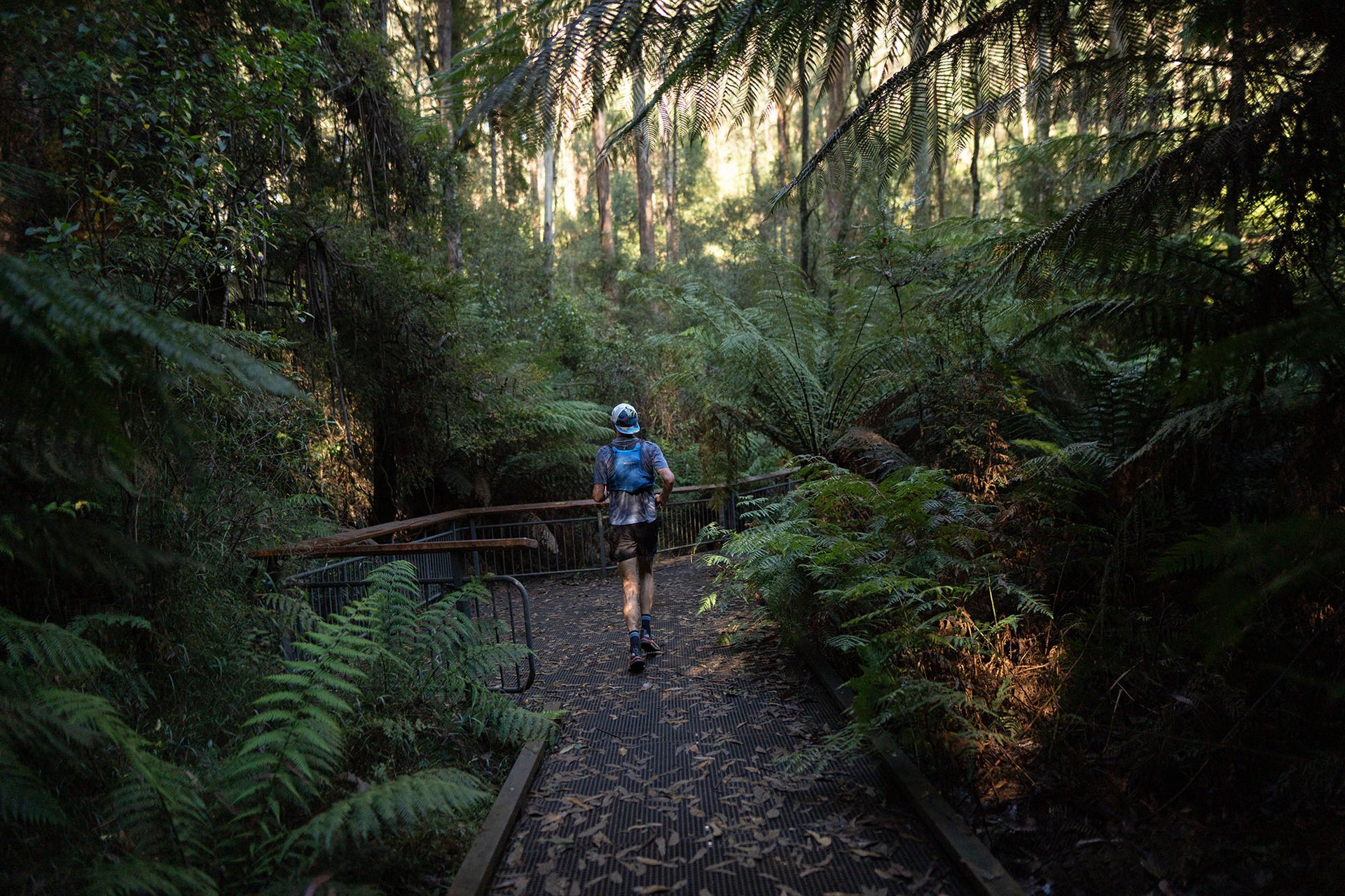 Majell Backhausen runs through the proposed Great Forest National Park. It's hard not to find refreshment in the inbetween moments.Photo Cam Suttie