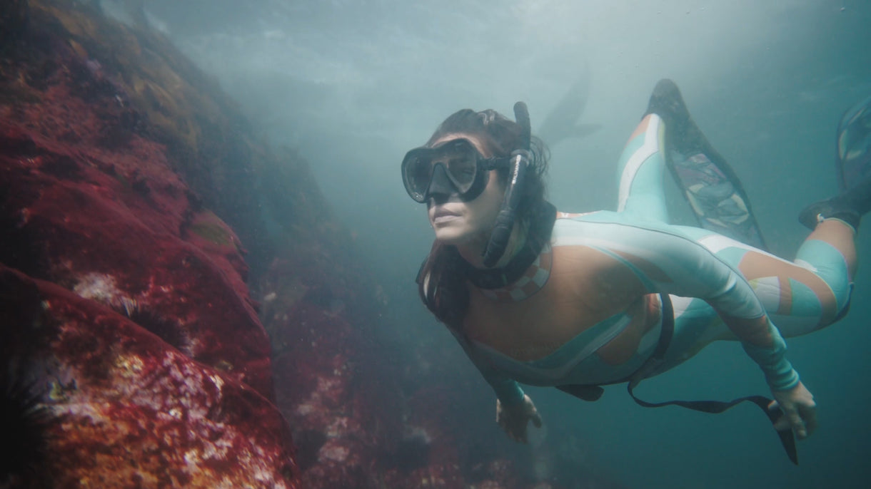 Marine scientist Laura Wells diving with seals off Barunguba (Montague Island).