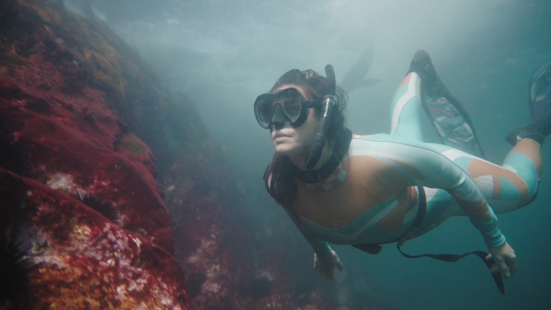 Marine scientist Laura Wells diving with seals off Barunguba (Montague Island).