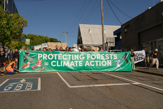 The march through the streets of Brisbane was the culmination of a rolling series of protests across the country in defence of Australia’s native forests. Photo Ula Majewski