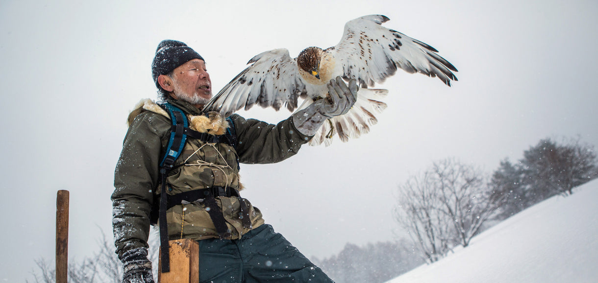 Hidetoshi Matsubara and a ferruginous hawk he trained this year. This medium-sized bird of prey has a wingspan of roughly 130 centimeters, around 4.3 feet.