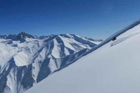 Black Summer, White Winter