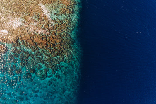 Opening image: At two degrees of warming, 90 per cent of the world’s coral reefs will be gone. We’re on the verge of overshooting 1.5 degrees right now. It’s time to get serious. Photo Jarrah Lynch