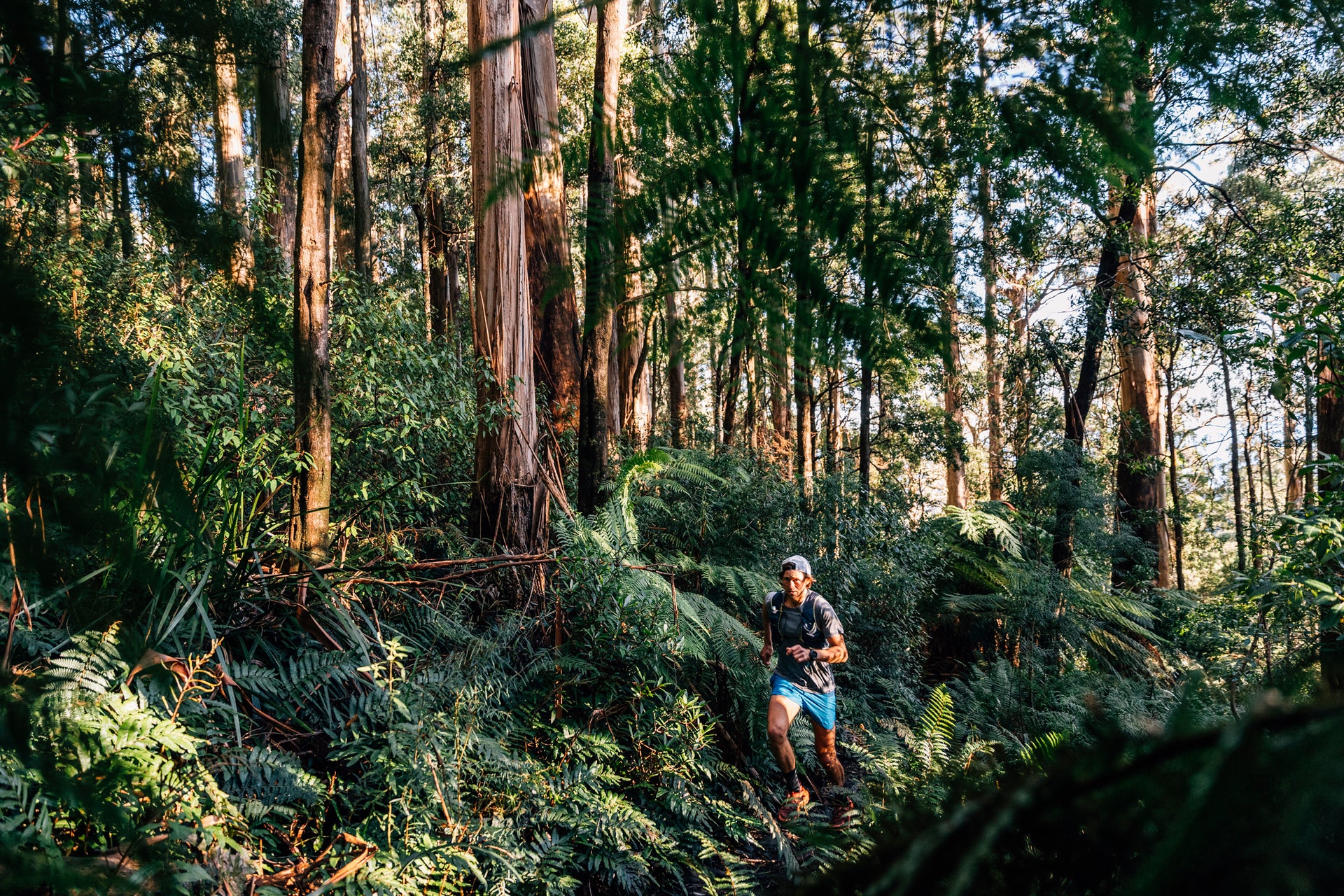 Opening image: Runner Majell Backhausen runs through some of the oldest ferns in the world. Photo Jarrah Lynch