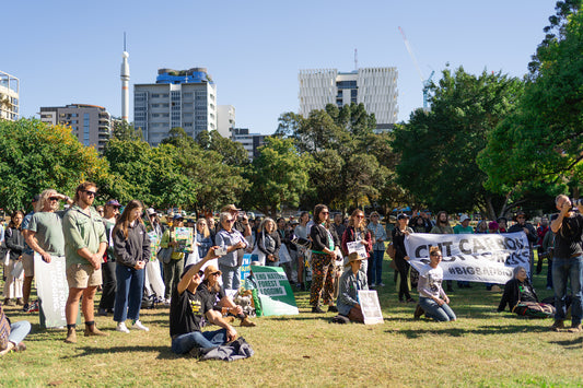 The crowd gathered in Musgrave Park as Dr Bob Brown called for the end of native forest logging nationally. Photo Ula Majewski