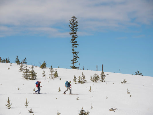 The Worst Transverse