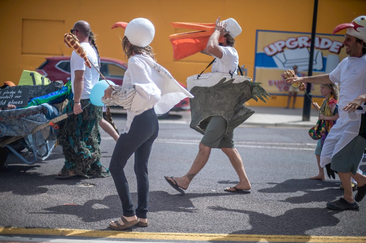 Lessons in Activism from the Bight