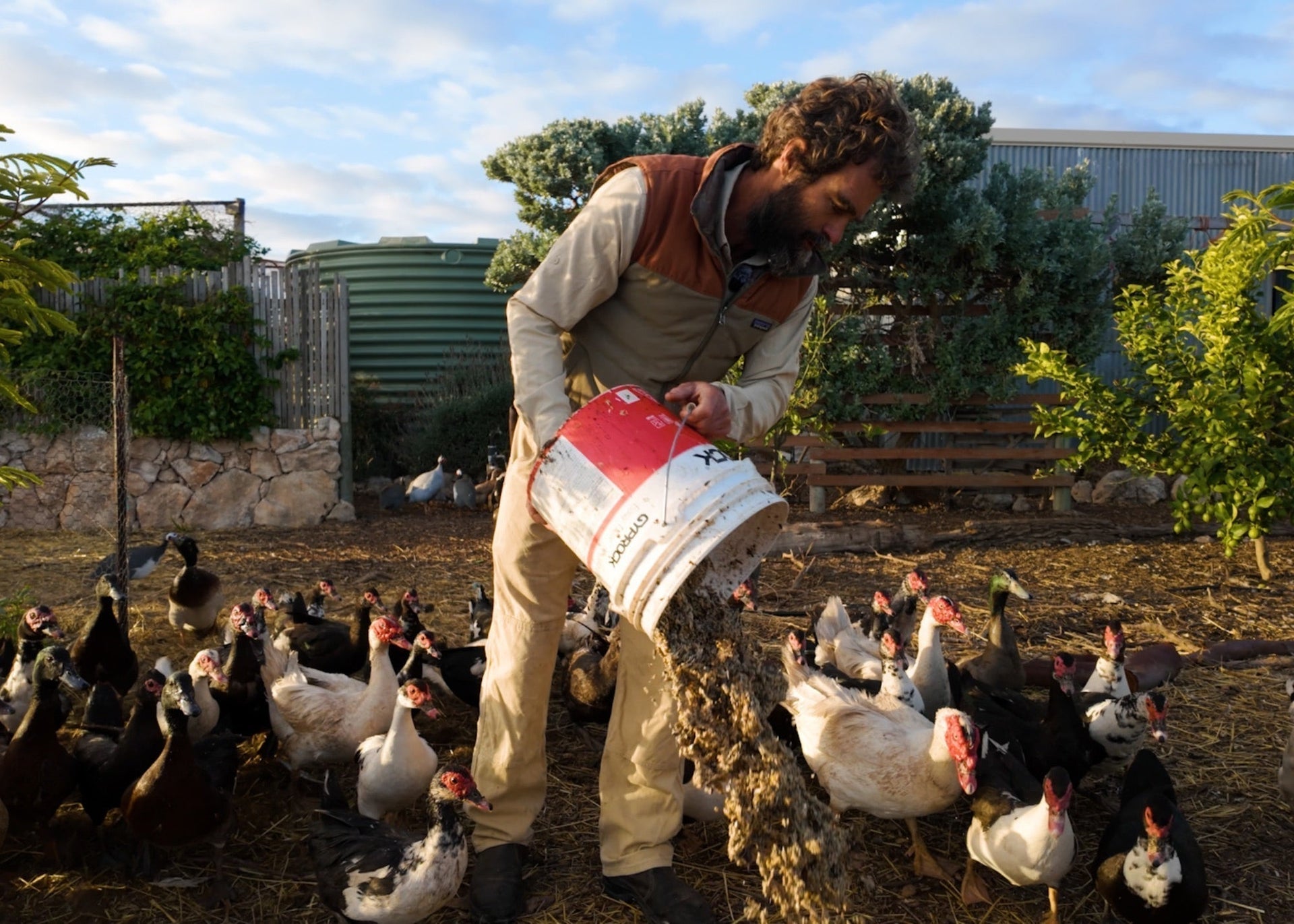 Opening image: The ducks are the stars of episode one. “They’re manure machines,” says Heath. “And I love ‘em for it.” Photo Andrew Buckley