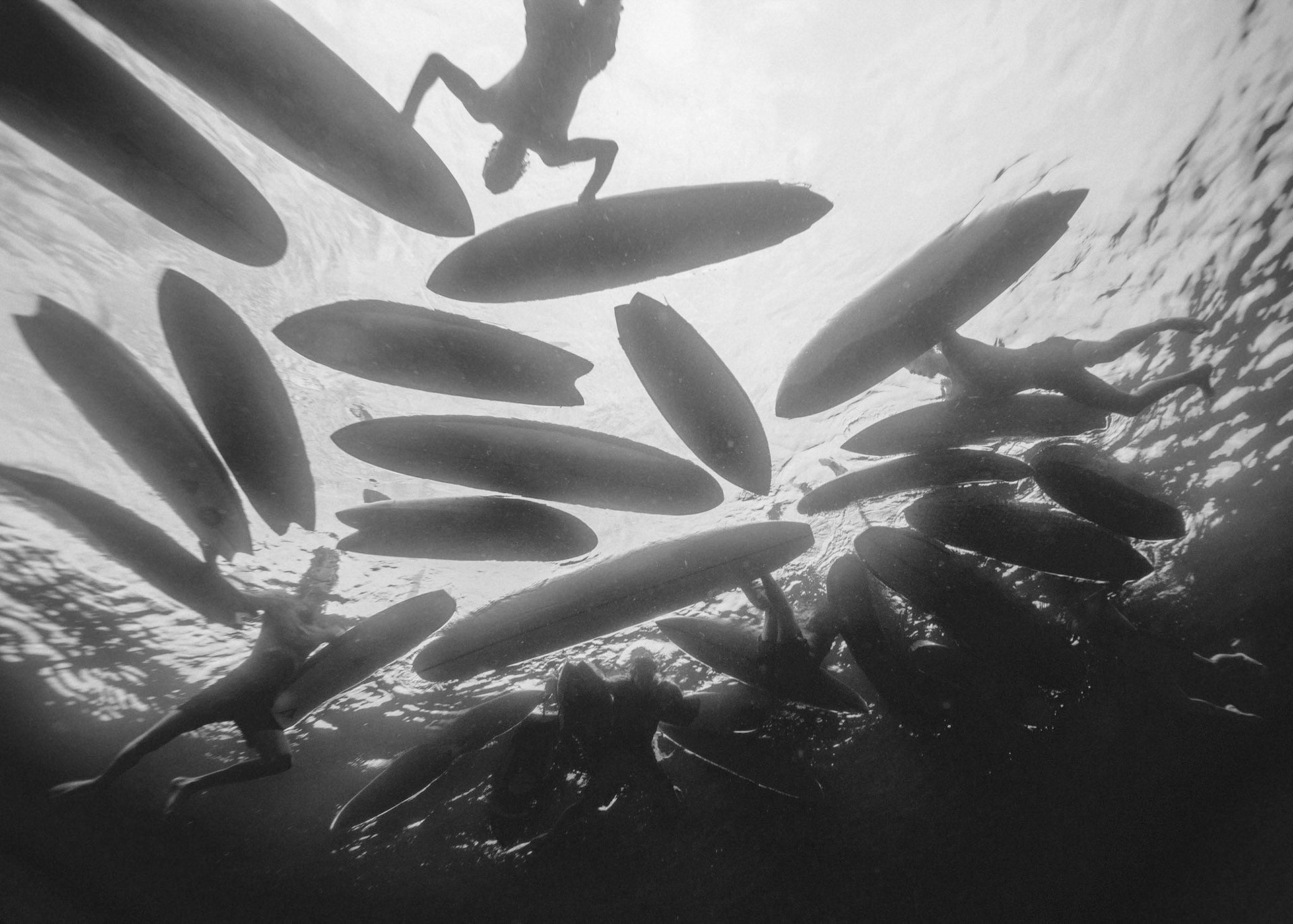 Opening image: Thomas Campbell films have always looked at surfing in different ways. Photo Grant Ellis