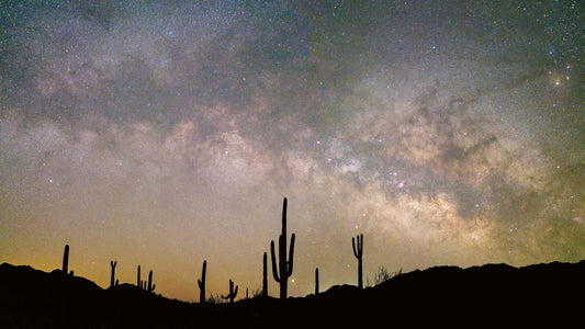 The Milky Way illuminates the night sky in the Cabeza Prieta desert, Arizona. Photo: Jack Dykinga
