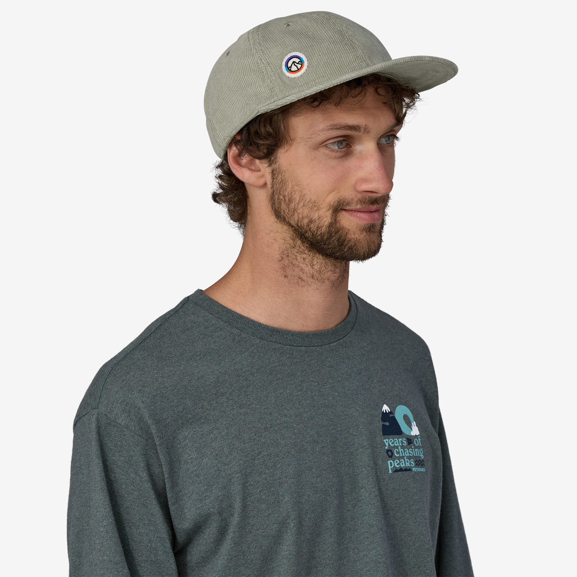Patagonia sale dad hats