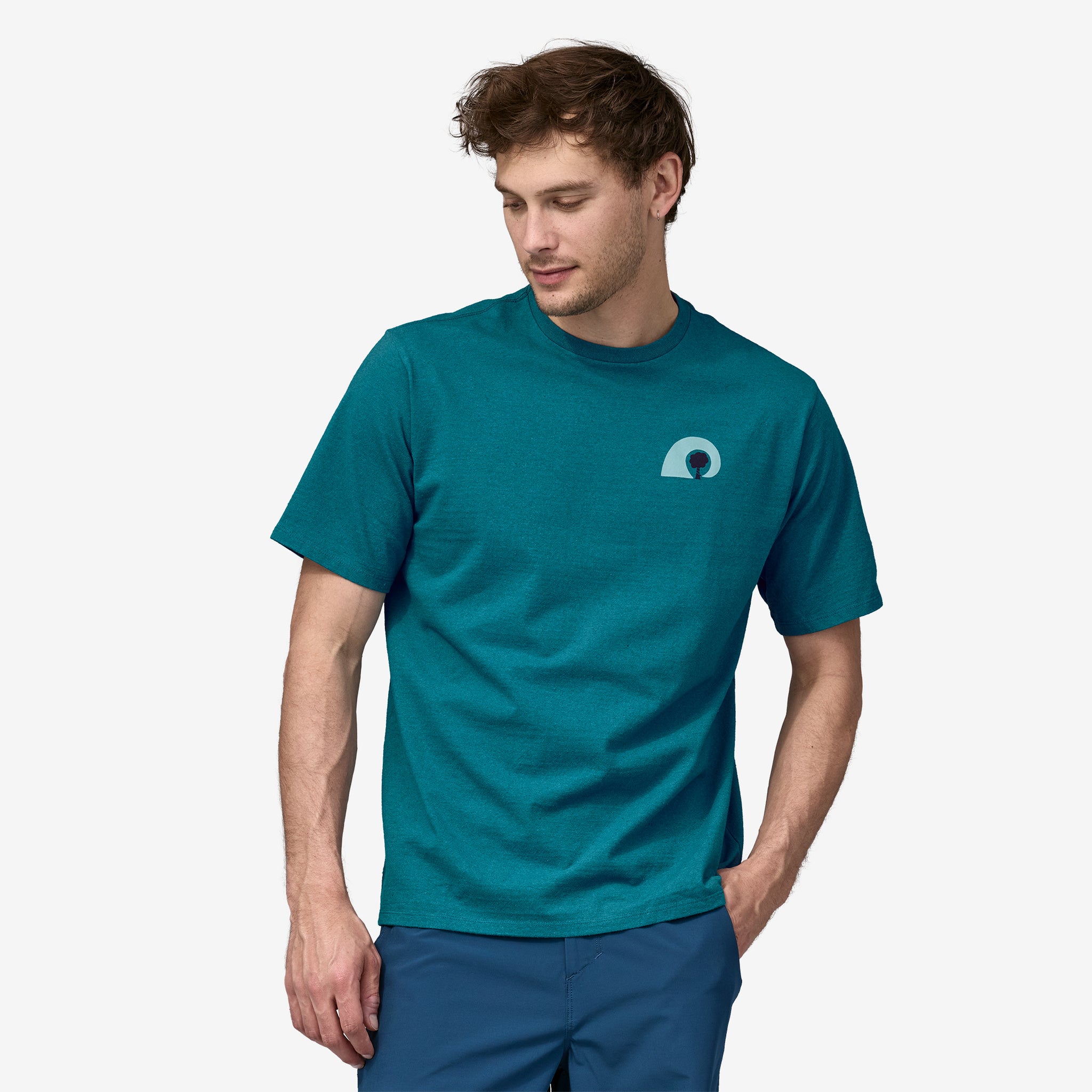 Patagonia t shirt blue on sale