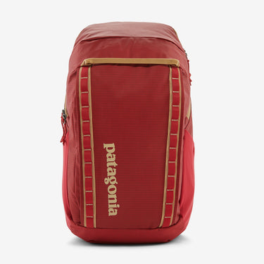 Patagonia backpack sales