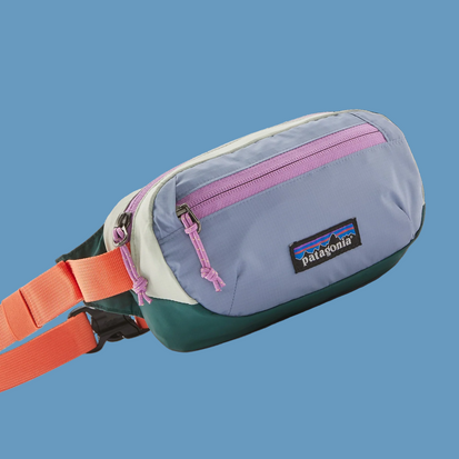 Patagonia Terravia Hip Pack